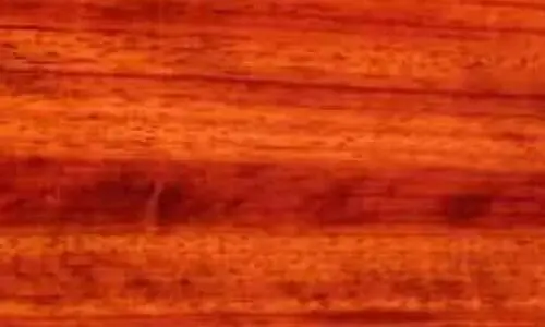 african padauk wood material